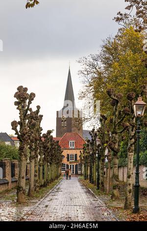 Wijk bij Duurstede, pays-Bas - 11 novembre 2021 : scénographie avec l'église Saint Johannes de Doper à Wijk bij Duurstede, Utrecht aux pays-Bas Banque D'Images