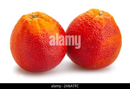 voie orange du sang isolée sur blanc Banque D'Images