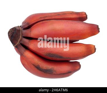 chemin de banane rouge isolé sur la vue de dessus blanche Banque D'Images