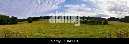 Pâturage des moutons en Angleterre pâturages luxuriants et terres agricoles au Royaume-Uni.Belle campagne anglaise avec champs de vert émeraude et prairies.ROYAUME-UNI. Banque D'Images