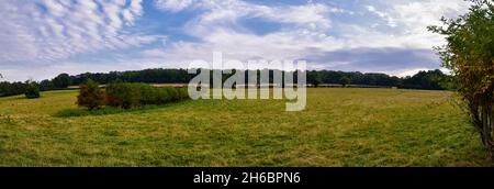 Pâturage des moutons en Angleterre pâturages luxuriants et terres agricoles au Royaume-Uni.Belle campagne anglaise avec champs de vert émeraude et prairies.ROYAUME-UNI. Banque D'Images