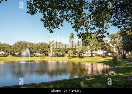 Un lac dans un parc de loisirs à Saint-Pétersbourg, Floride, Etats-Unis Banque D'Images