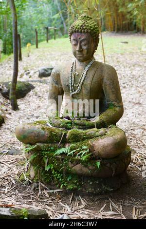 Statue de Bouddha dans la vallée du barrage de pierre sur le terrain commun près de Kilauea sur Kauai Banque D'Images