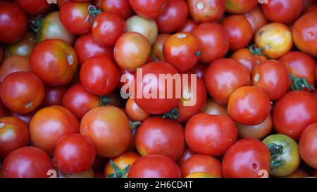 Image haute résolution : tomate et tomate Vendeur sur un marché indien dynamique #tomate ,tomatoseller, #india, #Vegetablemarket Banque D'Images