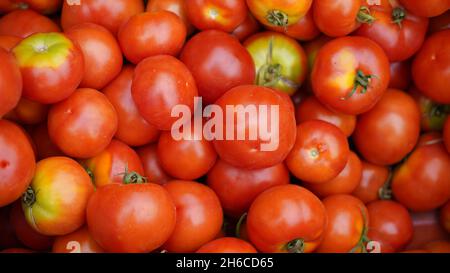 Image haute résolution : tomate et tomate Vendeur sur un marché indien dynamique #tomate ,tomatoseller, #india, #Vegetablemarket Banque D'Images