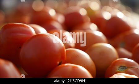 Image haute résolution : tomate et tomate Vendeur sur un marché indien dynamique #tomate ,tomatoseller, #india, #Vegetablemarket Banque D'Images