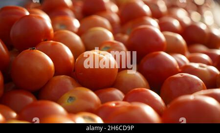 Image haute résolution : tomate et tomate Vendeur sur un marché indien dynamique #tomate ,tomatoseller, #india, #Vegetablemarket Banque D'Images