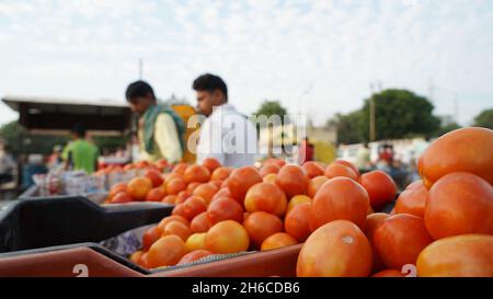 Image haute résolution : tomate et tomate Vendeur sur un marché indien dynamique #tomate ,tomatoseller, #india, #Vegetablemarket Banque D'Images