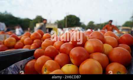 Image haute résolution : tomate et tomate Vendeur sur un marché indien dynamique #tomate ,tomatoseller, #india, #Vegetablemarket Banque D'Images