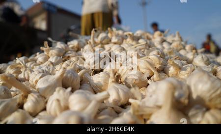 Image haute résolution : ail frais sur un marché de légumes dynamique #vente #shopping #sélection #ail, #Vegetablemarket, #Garlicbulbs Banque D'Images