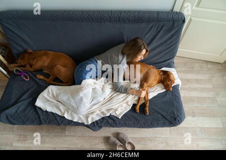 La femme soignante touche la patte guérie du chien endormi.Propriétaire prendre soin de l'animal après traitement dans la clinique vétérinaire Banque D'Images