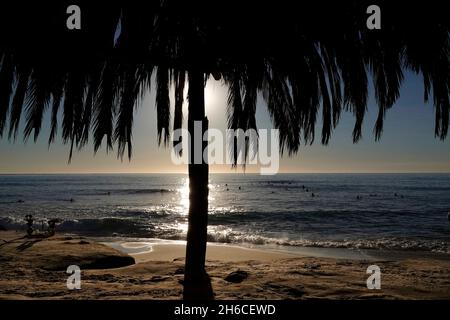 San Diego, Californie, États-Unis.14 novembre 2021.Le soleil commence à se coucher sur la plage de Windansea à la Jolla lors d'une vague de chaleur automnale record.Les façades de palmier de la célèbre cabane de Windansea pendent au premier plan.(Image de crédit : © K.C.Service de presse Alfred/ZUMA) Banque D'Images