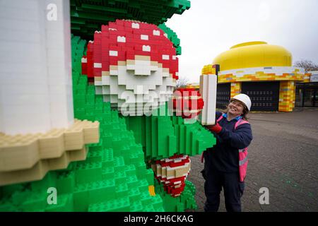 Paula Laughton, chef de la création de modèles, apporte la touche finale à un arbre de Noël LEGO de 33 mètres de haut, fabriqué avec 364,481 briques DUPLO et LEGO, au LEGOLAND Windsor Resort de Berkshire.Date de la photo: Mercredi 10 novembre 2021. Banque D'Images