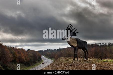 Mallow Road, Cork, Irlande.14 novembre 2021.Pendant plus de vingt-cinq ans, une sculpture en bronze de l'artiste Kevin Holland d'un grand wapiti irlandais se dresse majestueusement au-dessus de l'horizon de la route N20 entre Cork et Mallow.Le wapiti se trouve à plus de quatre mètres de haut, avec des bois qui s'étendent sur plus de trois mètres et demi et est un point de vue pour les voyageurs venant en sens inverse.- photo; David Creedon / Alamy Live News Banque D'Images