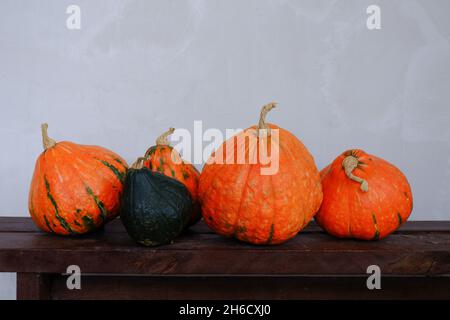 Composition de plusieurs citrouilles orange et d'une citrouille verte sur un banc en bois. Banque D'Images