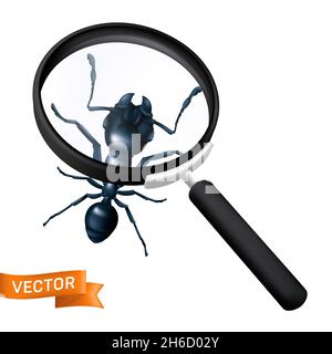 Black Worker ant est exploré sous une loupe.Tête d'un fourmi gros plan avec des antennes et des mâchoires.Illustration 3D réaliste d'un insecte v Illustration de Vecteur