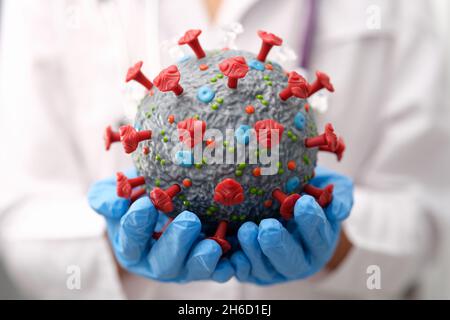 Médecin tenant le modèle plastique artificiel du coronavirus dans ses mains de près Banque D'Images