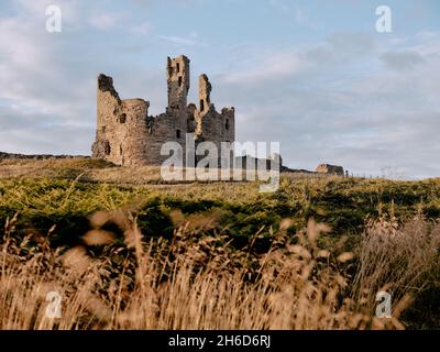 Le paysage herbaire d'été des ruines du château de Dunstanburgh - fortification du XIVe siècle dans le nord de l'Angleterre de Cester Northumberland Banque D'Images