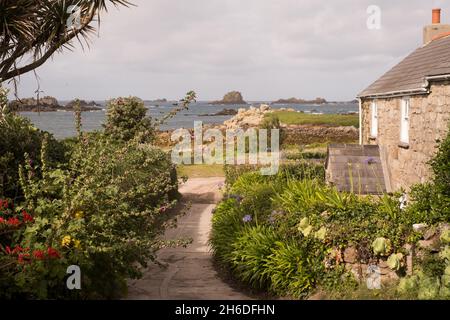 Maison en granit et agapanthus plantes sur la plage de Great par sur Bryher, îles de Scilly Banque D'Images