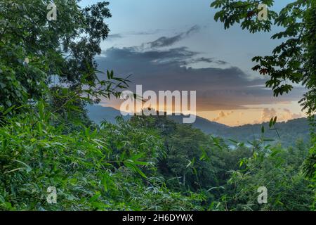 Vue sur l'étendue de la forêt tropicale de la chaîne du Nord à Trinité-et-Tobago dans la soirée au coucher du soleil. Banque D'Images