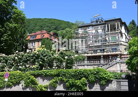 Villas luxueuses sur les rives du Neckar à Heidelberg Banque D'Images