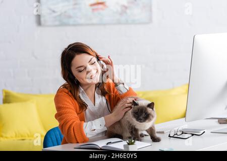 une femme heureuse dans un casque qui pète un chat tout en travaillant près d'un ordinateur à la maison Banque D'Images