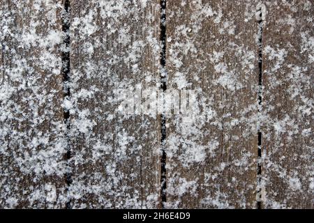 Surface en bois d'anciens panneaux gris recouverts de neige fraîche Banque D'Images