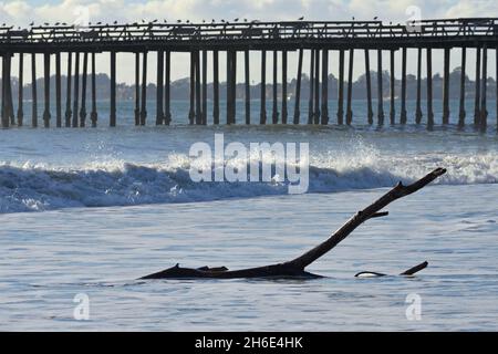 Un bel après-midi d'hiver à la plage d'État de Seacliff, Aptos CA Banque D'Images