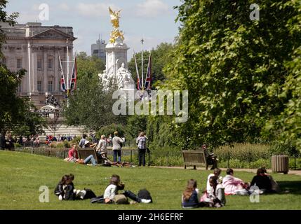 Temps de Londres en raison du temps chaud, une épaisse algue verte a couvert des parties de l'étang dans le parc St James dans le centre de Londres Banque D'Images