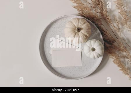 Mariage d'automne, composition de papeterie d'anniversaire.Cartes de visite vierges, invitations maquettes sur plaque en céramique.Petits citrouilles blanches.Table beige Banque D'Images