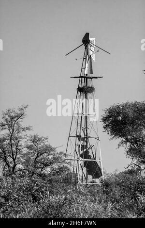 Une ancienne pompe de moulin à vent cassée, à un point d'eau ancien dans le parc national Kruger d'Afrique du Sud, en noir et blanc Banque D'Images