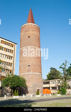 Tour Piast, construite sous Bolko I d'Opole, vers 1300, Opole, Pologne Banque D'Images