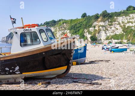 Beer Devon les bateaux de pêche se sont arrachés et ont fait du beaching sur Beer Beach Devon Seaton Bay Angleterre GB Europe Banque D'Images