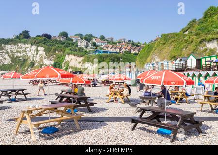 Beer Devon Beach parasols et sièges au café Ducky's sur Beer Beach Beer Devon Angleterre GB Europe Banque D'Images