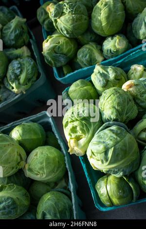 Grenaille verticale de paniers remplis de pousses de saumure sur un marché agricole Banque D'Images