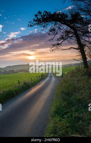 Abbotsbury, Dorset, Royaume-Uni.15 novembre 2021.Météo Royaume-Uni.Vue sur Bishops Road en regardant vers la chapelle Sainte-Catherine à Abbotsbury, à Dorset, peu avant le coucher du soleil, à la fin d'une chaude journée de brume.Crédit photo : Graham Hunt/Alamy Live News Banque D'Images