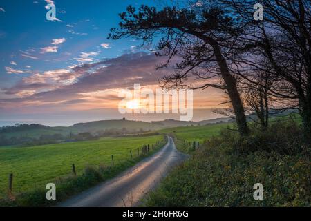 Abbotsbury, Dorset, Royaume-Uni.15 novembre 2021.Météo Royaume-Uni.Vue sur Bishops Road en regardant vers la chapelle Sainte-Catherine à Abbotsbury, à Dorset, peu avant le coucher du soleil, à la fin d'une chaude journée de brume.Crédit photo : Graham Hunt/Alamy Live News Banque D'Images