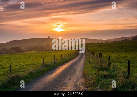 Abbotsbury, Dorset, Royaume-Uni.15 novembre 2021.Météo Royaume-Uni.Vue sur Bishops Road en regardant vers la chapelle Sainte-Catherine à Abbotsbury, à Dorset, peu avant le coucher du soleil, à la fin d'une chaude journée de brume.Crédit photo : Graham Hunt/Alamy Live News Banque D'Images