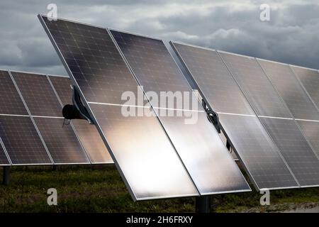 Solar Farm, Mid-Michigan, Etats-Unis, par James D Coppinger/Dembinsky photo Assoc Banque D'Images