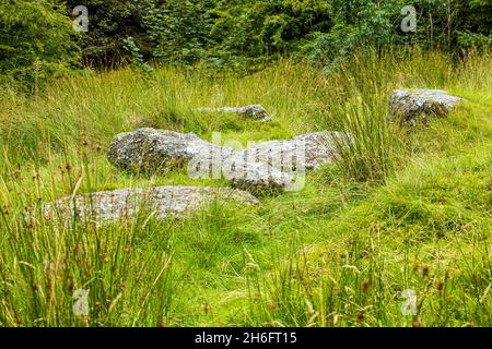 Site de la tombe de Giants, tombe mégalithique, près de Cadamstown, dans les montagnes de Slieve Bloom, comté d'Offaly, Irlande Banque D'Images