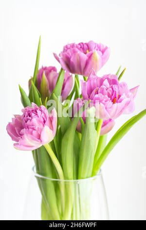 Romantique bouquet délicat de tulipes roses dans un vase en verre sur fond blanc, gros plan.Carte de voeux pour la fête des mères, 8 mars.Floristics, fleur Banque D'Images