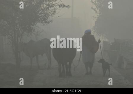 Lahore, Pakistan.11 novembre 2021.(11/11/2021) les Pakistanais sont occupés dans leur travail de routine dans des conditions de fumée à Lahore, au Pakistan.À mesure que le smog émerge de nouveau dans la capitale provinciale, la qualité de l'air de la ville est déclarée « très malsaine ».(Photo de Rana Sajid Hussain/Pacific Press/Sipa USA) crédit: SIPA USA/Alay Live News Banque D'Images