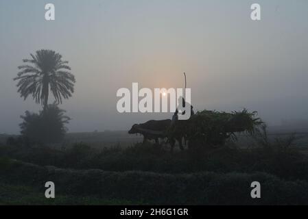 Lahore, Pakistan.11 novembre 2021.(11/11/2021) les Pakistanais sont occupés dans leur travail de routine dans des conditions de fumée à Lahore, au Pakistan.À mesure que le smog émerge de nouveau dans la capitale provinciale, la qualité de l'air de la ville est déclarée « très malsaine ».(Photo de Rana Sajid Hussain/Pacific Press/Sipa USA) crédit: SIPA USA/Alay Live News Banque D'Images