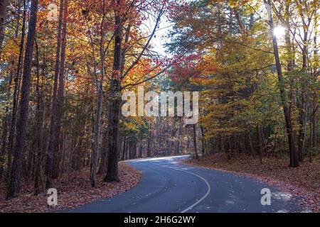 Le soleil de la fin de l'après-midi brille à travers des feuilles d'automne colorées sur une route de campagne sinueuse. Banque D'Images