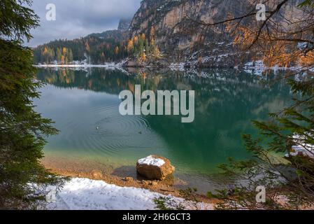 Lac Braies, Dolomites, Italie Banque D'Images