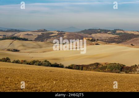 Vue aérienne du magnifique paysage de Toscane en Italie, près de Montalcino, collines cultivées avec du blé, champ labouré jaune. Banque D'Images