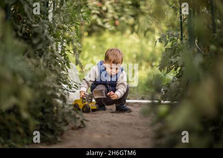 Petit garçon jouant avec un creuseur de jouets entre des plantes de tomates Banque D'Images