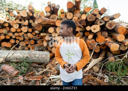 Un jeune garçon noir se tient devant une pile de billes tenant un petit arbre qui s'est enfoncé. Banque D'Images
