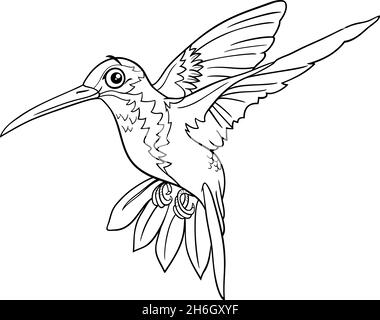 Dessin animé noir et blanc illustration de drôle colibri animal caractère coloriage livre page Illustration de Vecteur