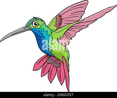 Illustration de dessin animé de personnage animal drôle d'oiseau-colibri Illustration de Vecteur